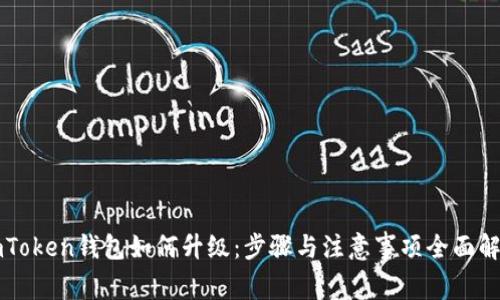 imToken钱包如何升级：步骤与注意事项全面解析