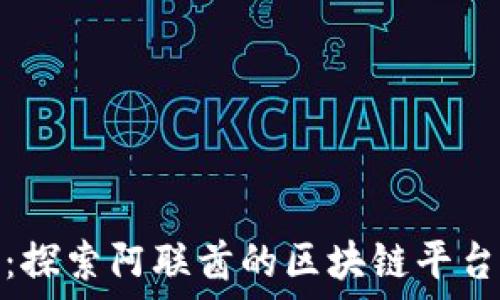   
无限潜能：探索阿联酋的区块链平台及其影响